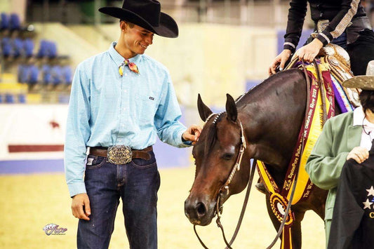 The Art of Horsemanship: Strengthening the Rider-Horse Bond