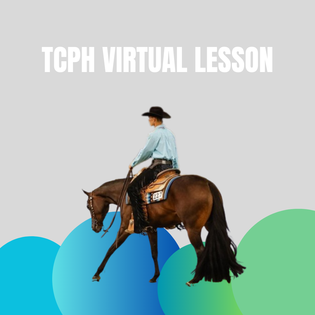 TCPH 1:1 Virtual Lesson – Taj Carson Performance Horses